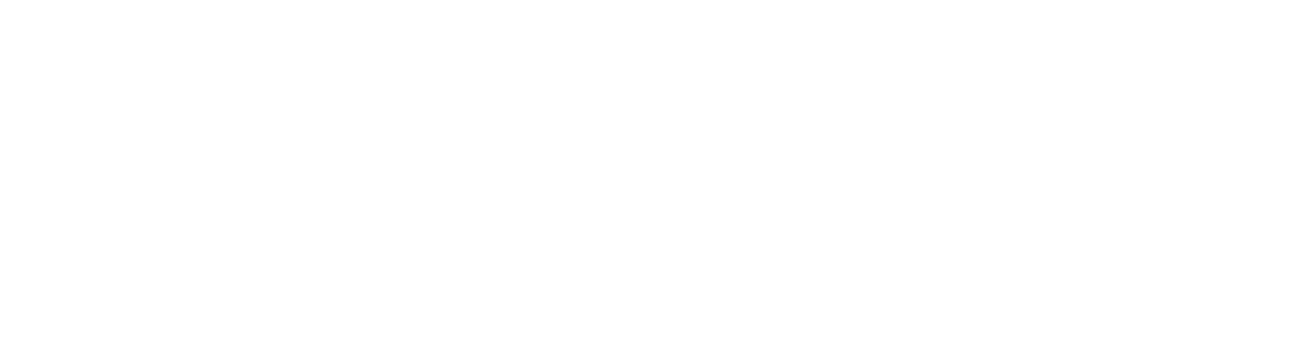 Austin's Elite